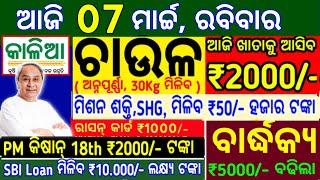 today's morning news odisha/07 july 2024/heavy to heavy rain/odisha news today/odisha samachar