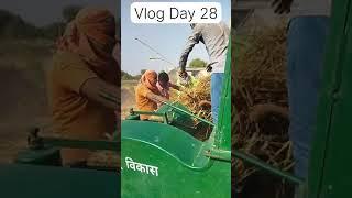 Vlog day 28गाँव रो ब्लॉग मारवाड़ी  #viral #desi  #rajasthani #vlog #vlogger #marwadi #HaduComedian