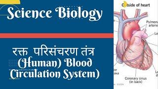 रक्त परिसंचरण तंत्र (Blood Circulation System) (Biology) #ras #rpsc #ias #upsc #science #uppsc #cet