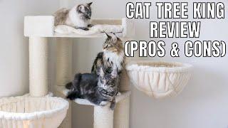 Cat Tree King Review (Pros & Cons)