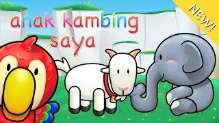 Lagu Anak Indonesia | Anak Kambing Saya