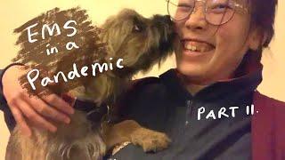 Day in the life of a vet student on placement | Cambridge Uni vet student vlog #11
