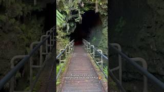 Exploring a lava tube  #foryou #foryourpage #fyp #hawaii #lavatube #hawaiivolcanoes