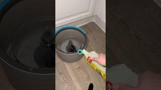 Kitchen floor mop  #cleantok #cleaning #satisfying #clean #mop #mopping #cleanhome #fyp #viral