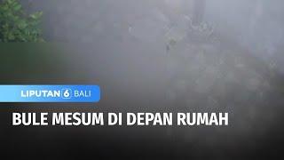 Bule Mesum di Depan Rumah | Liputan 6 Bali