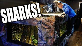 I GOT SHARKS!! Secret fish for 2,000G aquarium  - The king of DIY