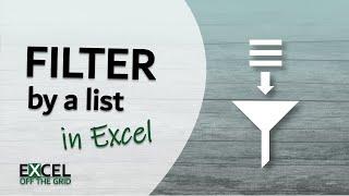 How to FIlter by a List in Excel | Excel Off The Grid
