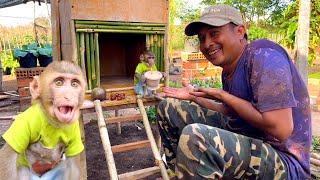 BiBi's mouth opened in surprise and happiness when Dad built a house for him