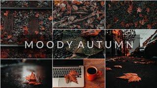 Moody Autumn Tone Preset | Lightroom Mobile Preset Free DNG | Lightroom Mobile Tutorial