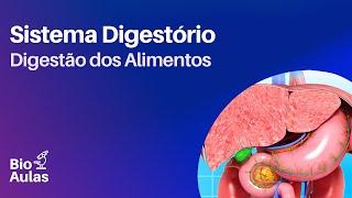 Sistema Digestório - Anatomia e Fisiologia (Bio Aulas)