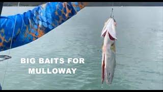 BIG BAITS FOR MULLOWAY | ESCAPE FISHING WITH ET