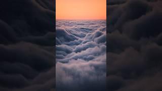  Mesmerizing Fog-Waves: California Coast Timelapse #timelapse #shorts