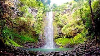 4K Walk | Kayak Wailua Guided Tour | Secret Falls | Kauai | Hawaii (Dec 2022)