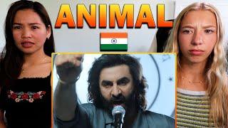 American Girls React to ANIMAL Official Trailer!!