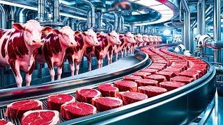 How Are Beef Steaks Processed | Full Factory Tour | Inside The Factory