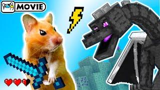 Hamster survival in Minecraft Ep.2  Hamster vs Ender Dragon  Homura Ham Pets