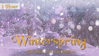 Winterspring Music & Wind Ambience (1 hour, World of Warcraft) for Relaxing, Sleep, Meditation
