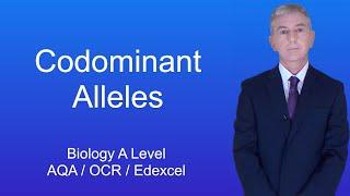 A Level Biology Revision (Year 13) "Codominant Alleles"