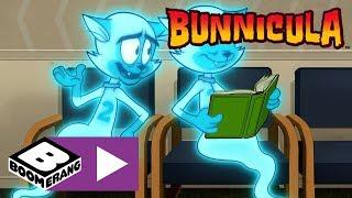 Bunnicula | Chester's Cat Heaven | Boomerang UK 