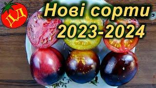 НОВІ СОРТИ ТОМАТІВ 2023-2024 (кращі урожайні сорти помідор)