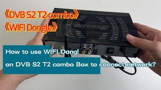 20220415 How to use WIFI Dongle on DVB S2 T2 Combo Box to connect network