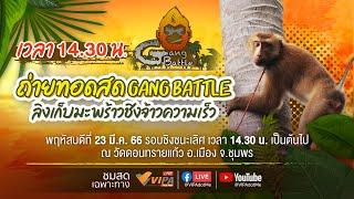 รอบชิงชนะเลิศ การแข่งขัน Gang Battle ลิงเก็บมะพร้าว ชิงจ้าวความเร็ว | 23 มี.ค. 66