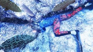 These Grouper HOLES Are INSANE!! Freedive Cave Spearfishing!