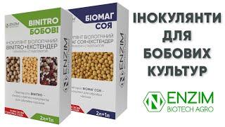 Інокулянти для бобових: сої, гороху, нуту, квасолі, бобів, сочевиці, вики. Інокулянти ENZIM Biotech