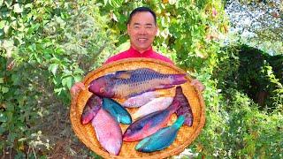 Colorful Fish From Deep Sea! Cooked in Sour, Sweet, Spicy, 5-Flavor All at Once| Uncle Rural Gourmet