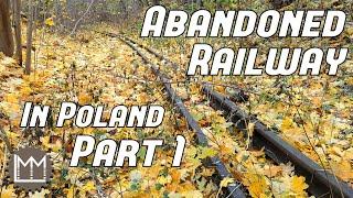 Abandoned Narrow gauge in Poland Pt1 - A look at the Smigiel Railway