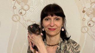 Как понять что вы хорошо заботитесь о крысах и других домашних питомцах?!