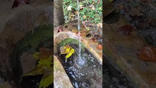 A refreshing surprise during my hike in Switzerland.