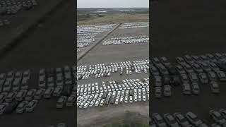 Обнаружили огромное кладбище бывших каршаринговых авто недалеко от Москвы.Что с ними будет дальше?