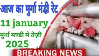 Broiler rate todaymurga mandi Rate/ Poultry rate todayd