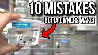 10 MISTAKES Betta Fish Owners Make!