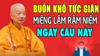 Buồn Khổ, Giận Tức hãy niệm Câu Thần Chú này (rất linh nghiệm) - HT. Thích Trí Quảng