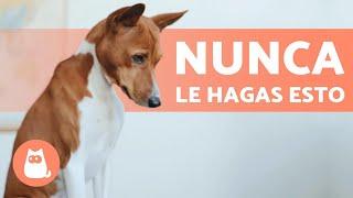 12 COSAS que NO DEBES hacer con TU PERRO