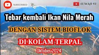 BUDIDAYA IKAN NILA SISTEM BIOFLOK OKT. 2024