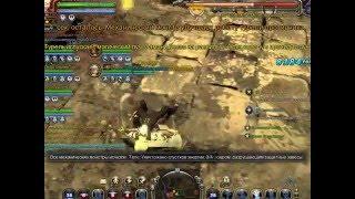 Dragon Nest   Черный дракон