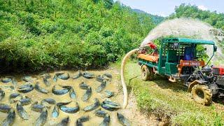 Use High Capacity Pump To Drain Fish Pond - Harvest And Use Truck Transport Many Fish Go To Sell