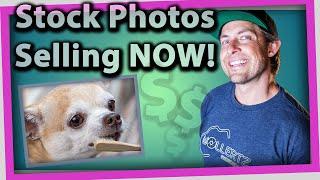 Yes, these photos are selling!    #stockphotography