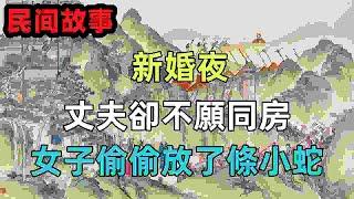 民間故事新編：新婚夜，丈夫卻不願同房，女子偷偷放了條小蛇