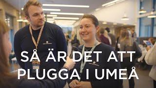 Hur är det att plugga i Umeå? Studenter svarar på vanligaste frågorna