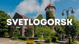 THE BEST CITY WHERE MANY PEOPLE WANT TO LIVE IS RAUSHEN | WALK — SVETLOGORSK 2024