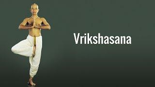 Vrikshasana (The tree pose) - Yoga pose for mental concentration