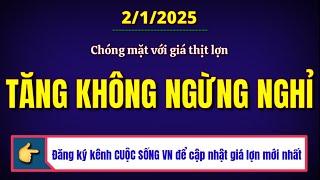 Giá heo hơi hôm nay ngày 2/1/2025 || Chóng mặt với giá thịt lợn tăng tốc không ngừng nghỉ