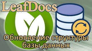 LeafDocs - Обновление структуры БД