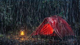 폭우와 천둥소리가 구불구불한 텐트 지붕에 울려퍼지는 가운데 깊은 잠을 위한 약초