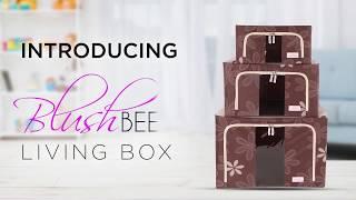 BlushBees LIVING BOX - Folding Storage Box for Wardrobe