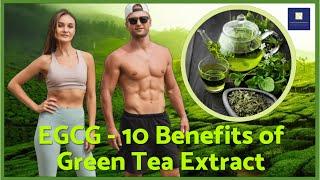 EGCG - 10 Benefits of Green Tea Extract